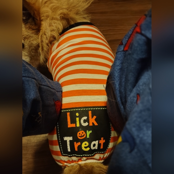 Meet your Posher, Katie - Picture 5 of 8